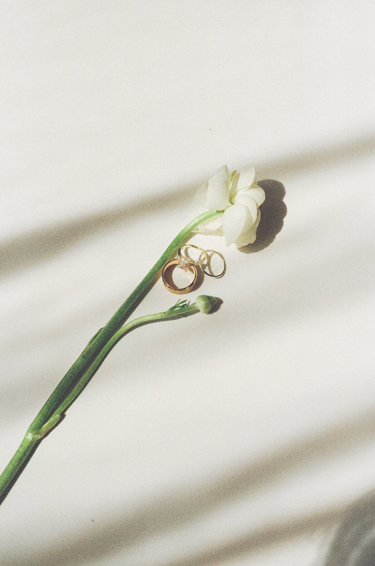 81615_MDI_MeStyledShoot_001_15