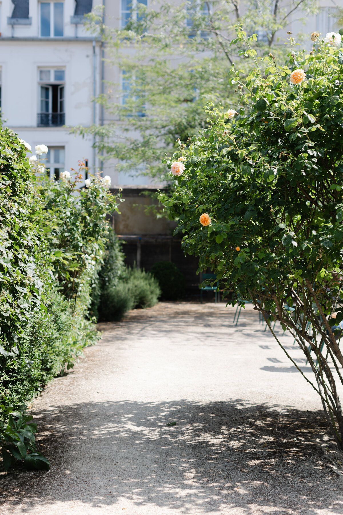 Picasso Museum-Travel Photographer-Travel Photography-Worldschooling Family-Homeschool Family-Kate Neal Photography