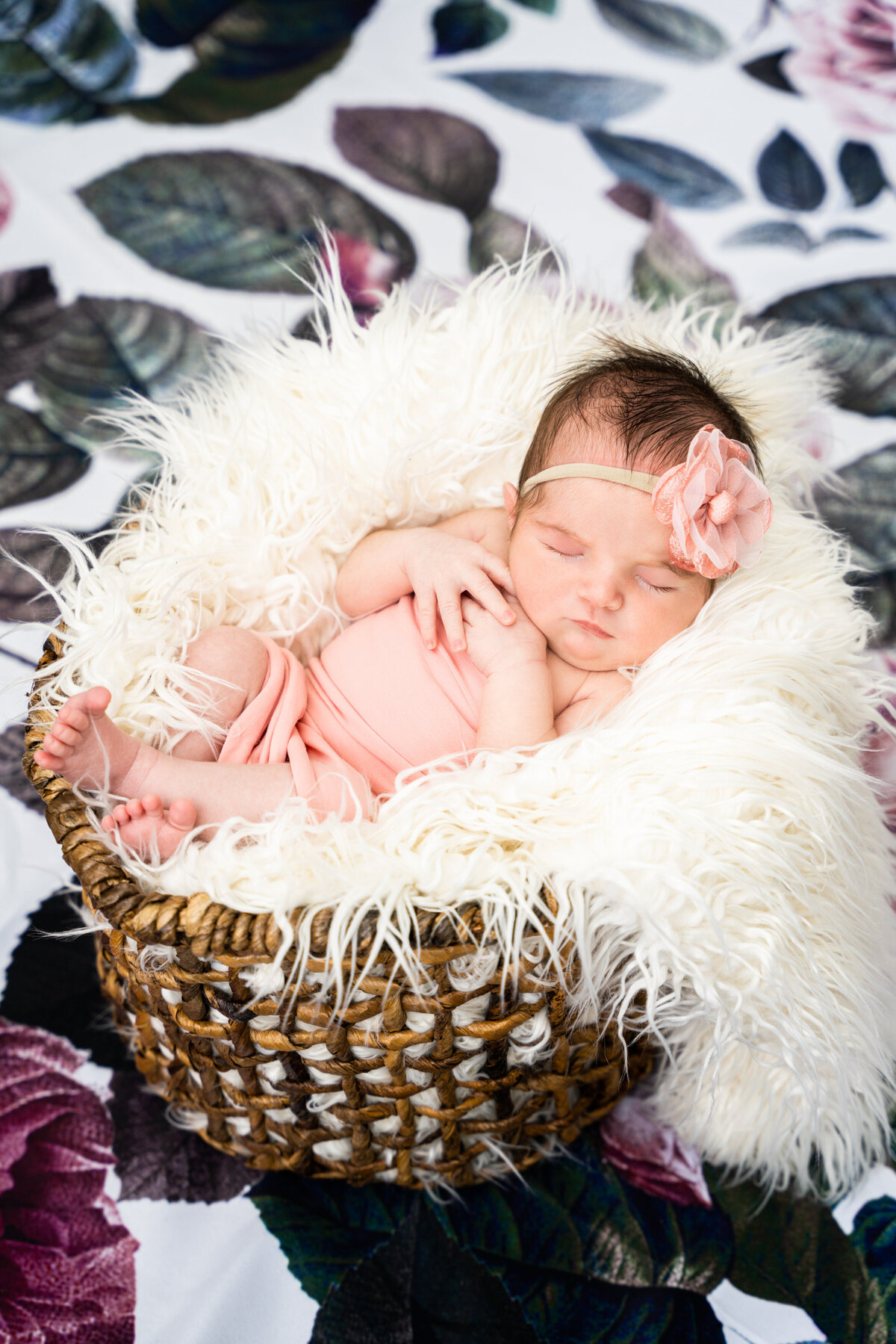Pittsburhgh Newborn Photographer--Newborn Website Update-4