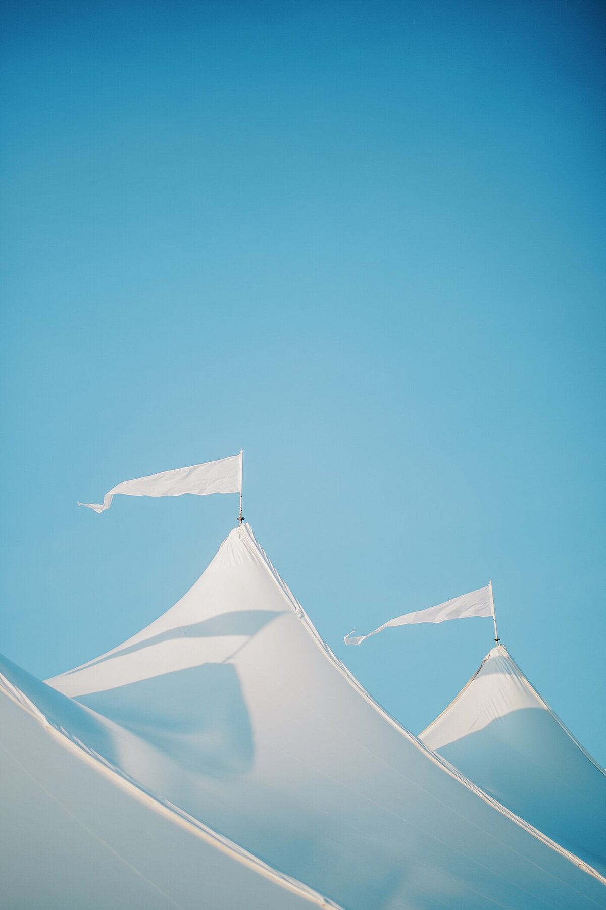 Vibrant-Summer-Whitehall-Annapolis-Wedding-Planner-Adriana-Marie-Events-_0251