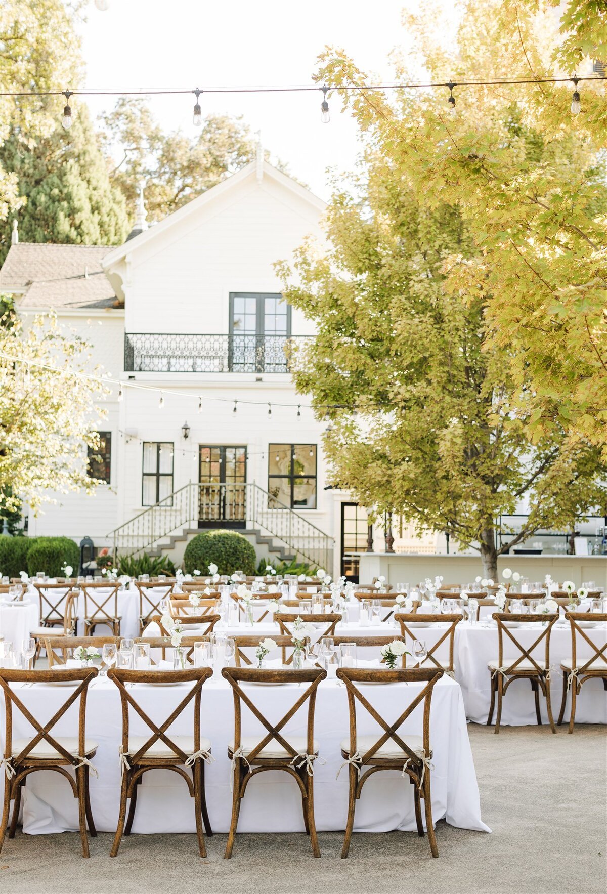 park-winters-wedding-shauna-clay-ashley-carlascio-photography-0440