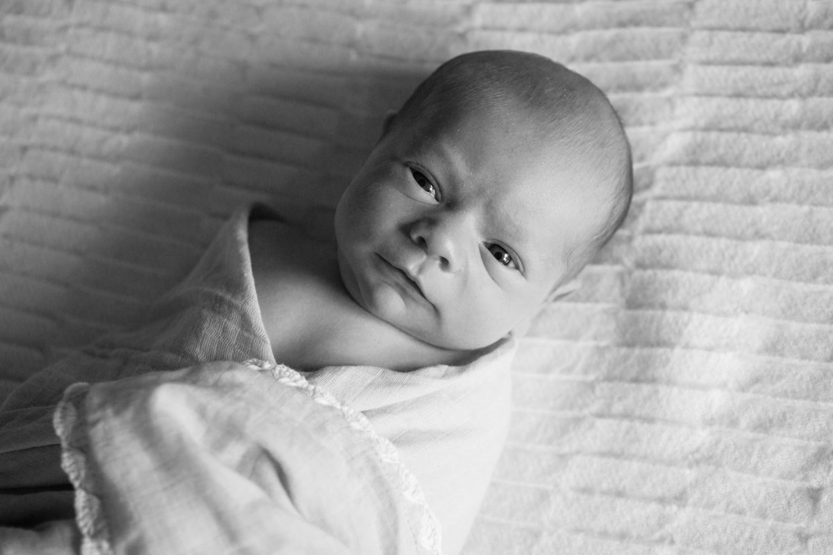 george-newborn-13-bw
