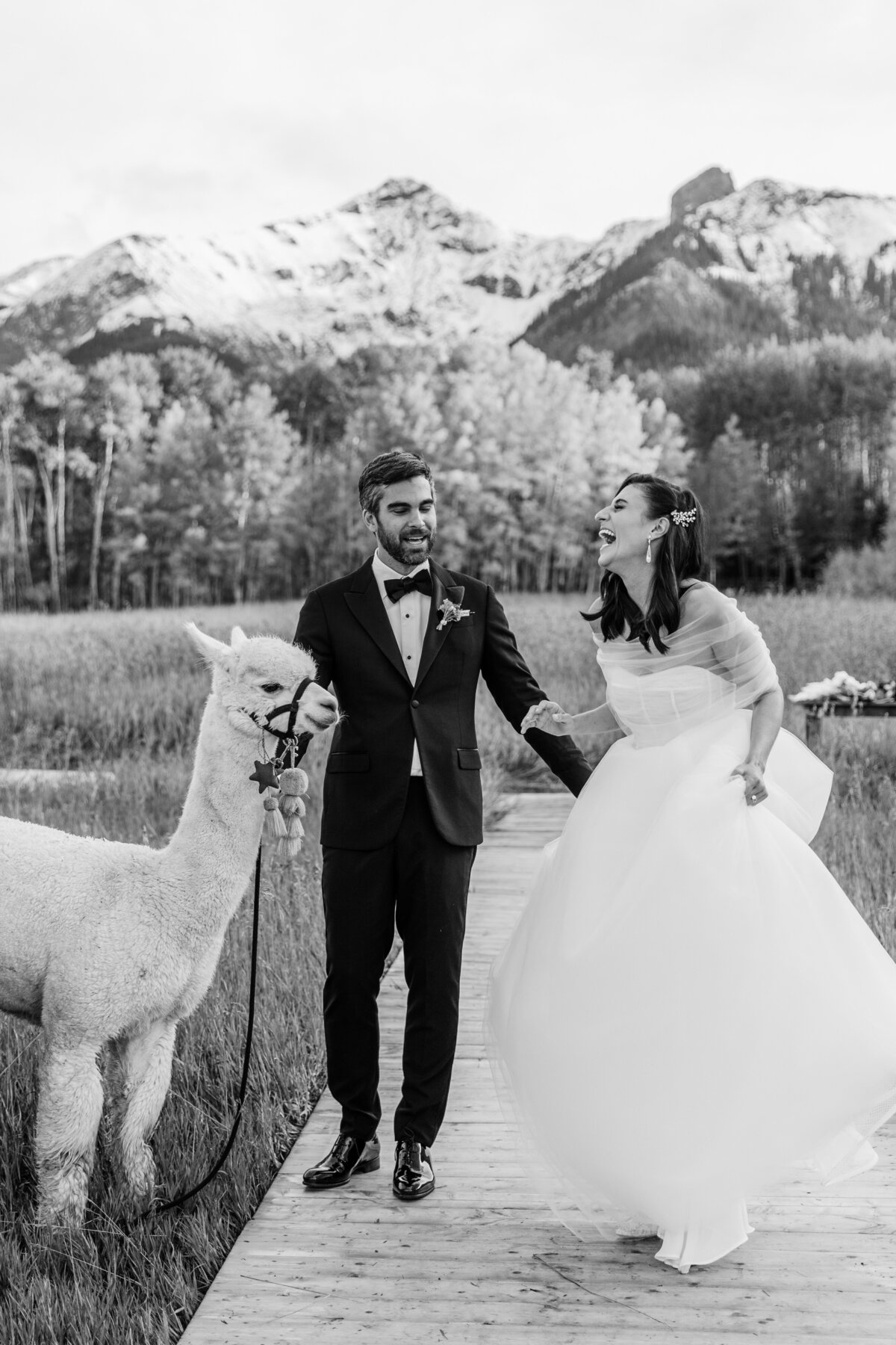 TellurideWeddingPhotographer-AbieLivesayPhotography-SoireeTellurideWeddingPlanner-LaurieJon-711