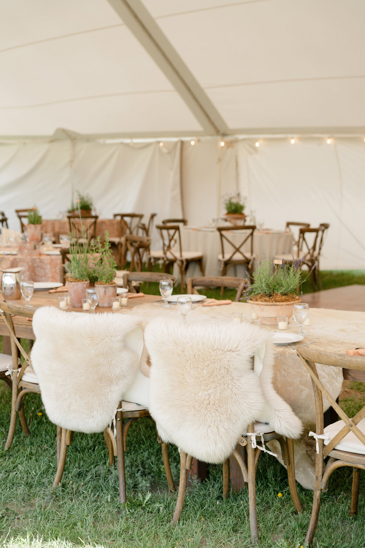 Jackson Hole Wedding-57