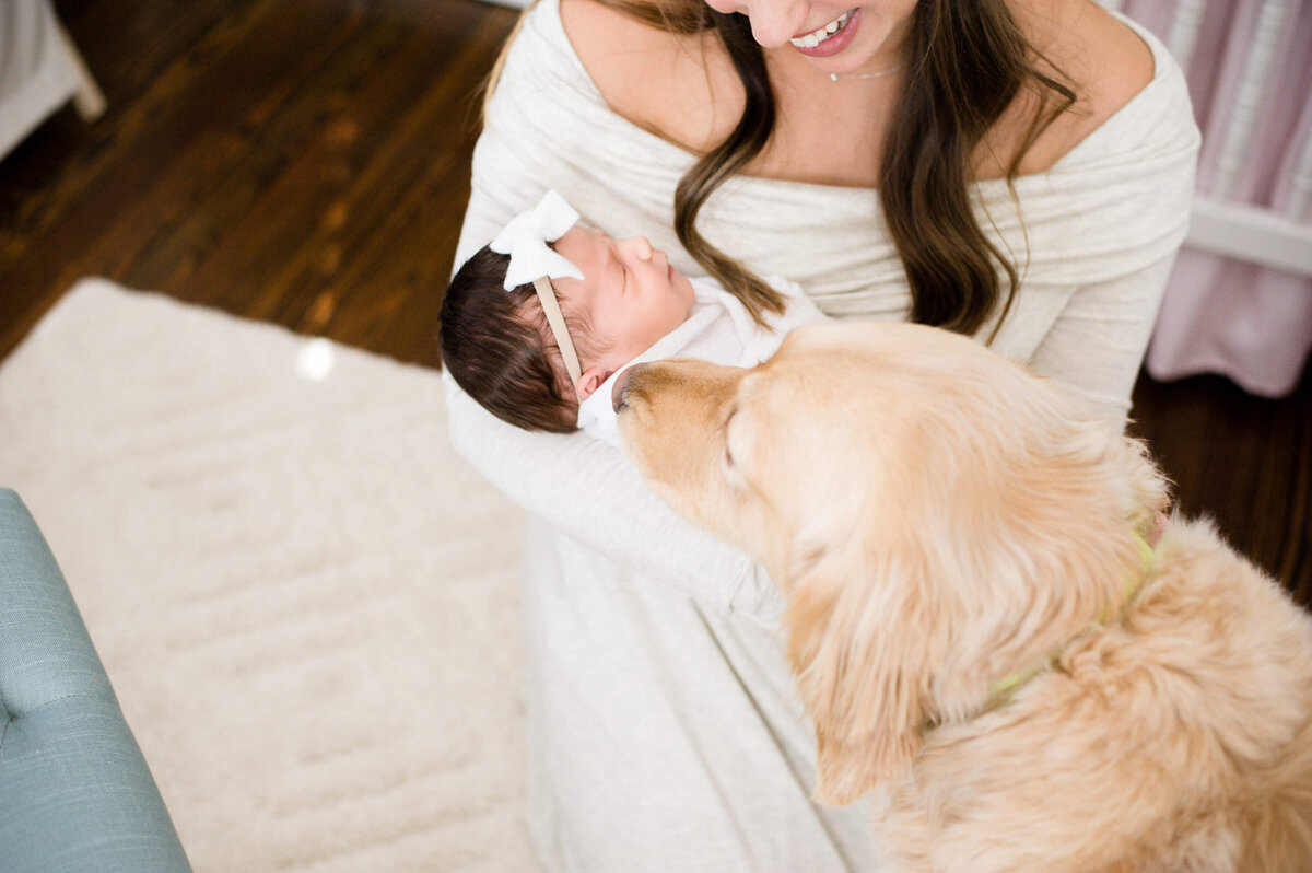 Ellington-12