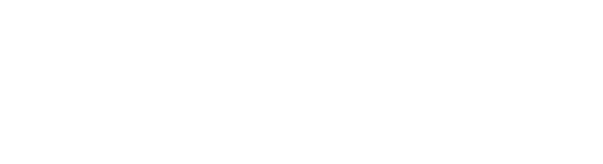 DCS Designs logo WHITE