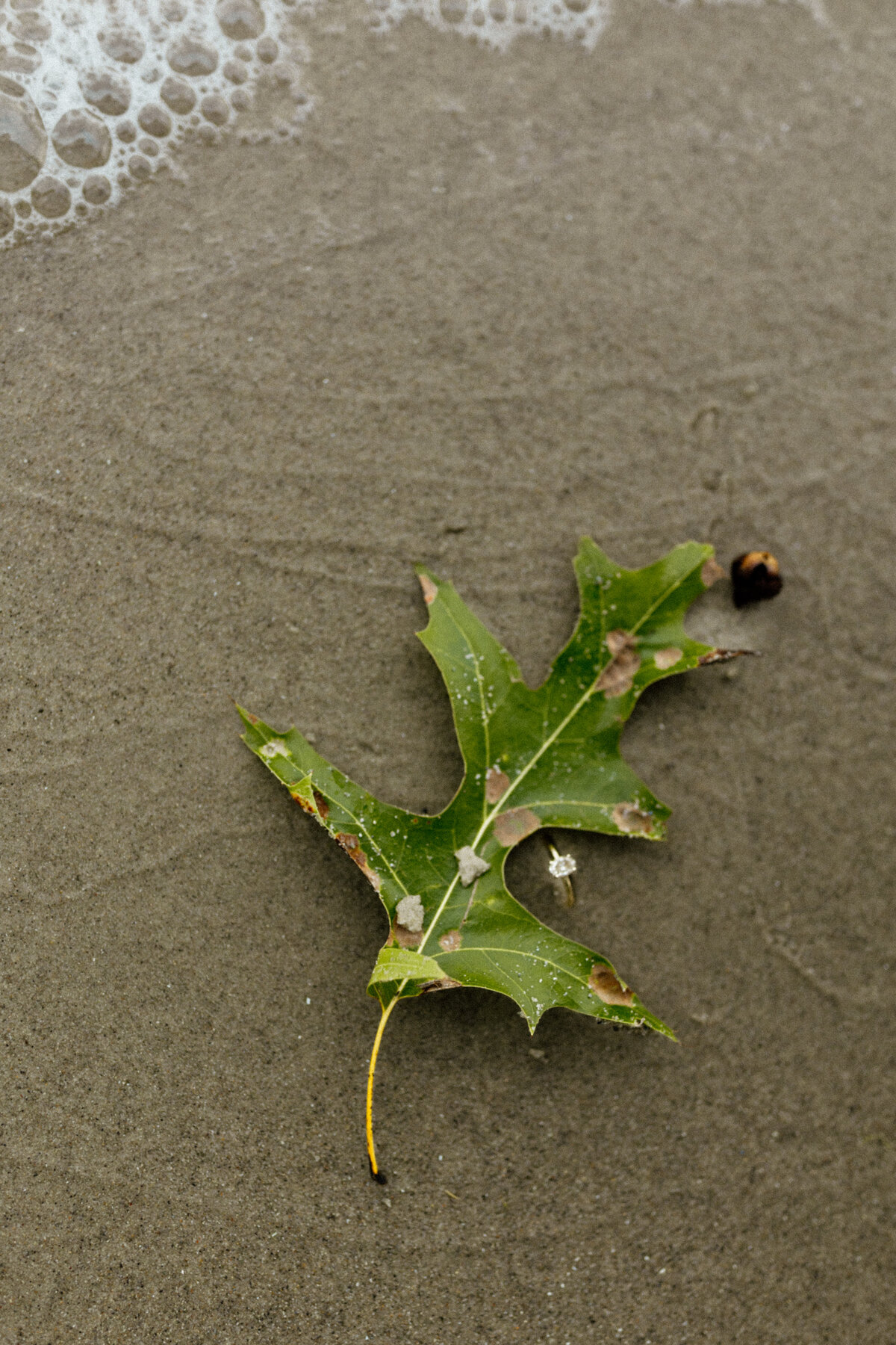 meg-thompson-photography-clear-lake-engagement-session-lauren-zach-11