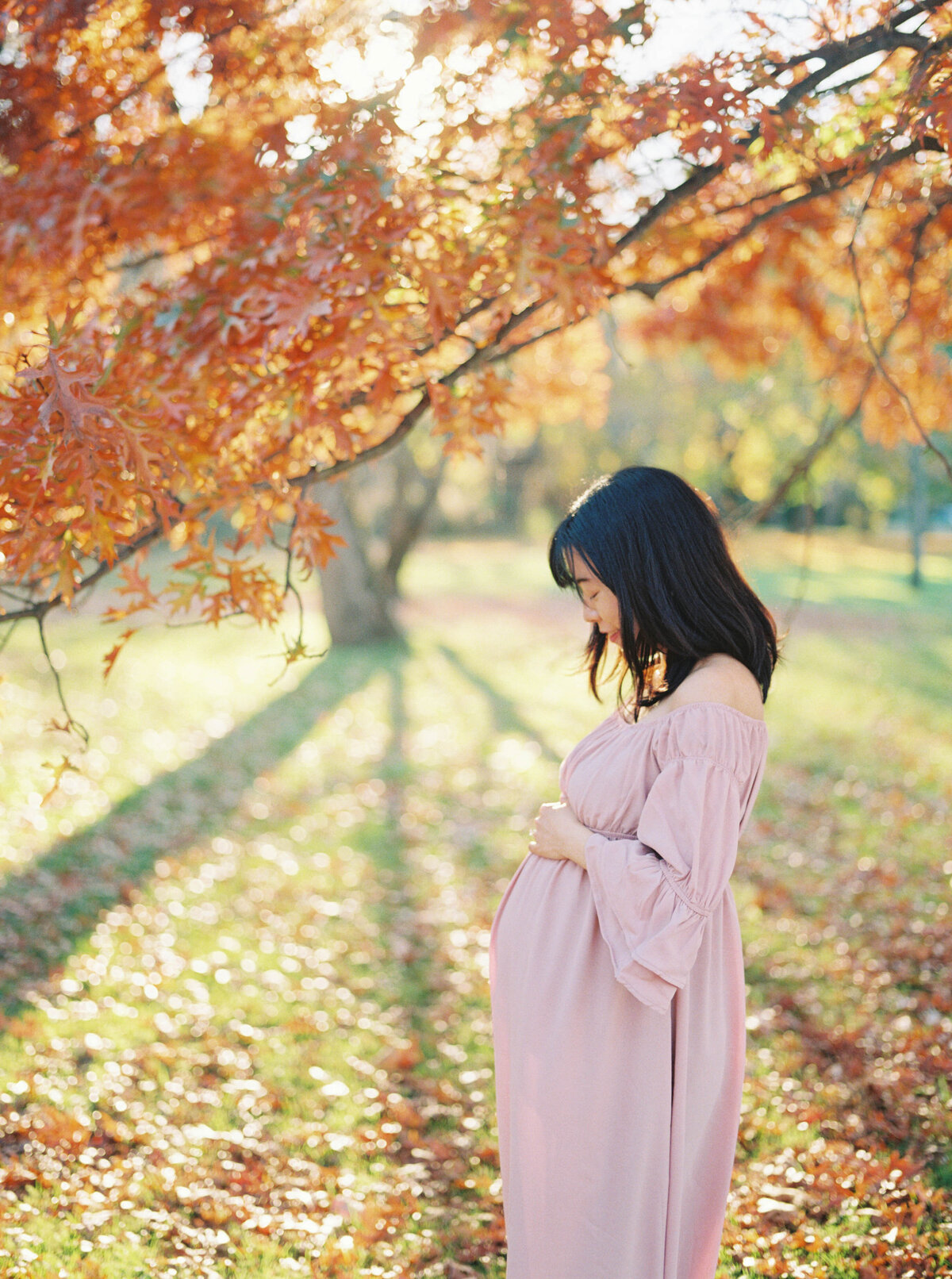 autumn maternity session in rochester, ny