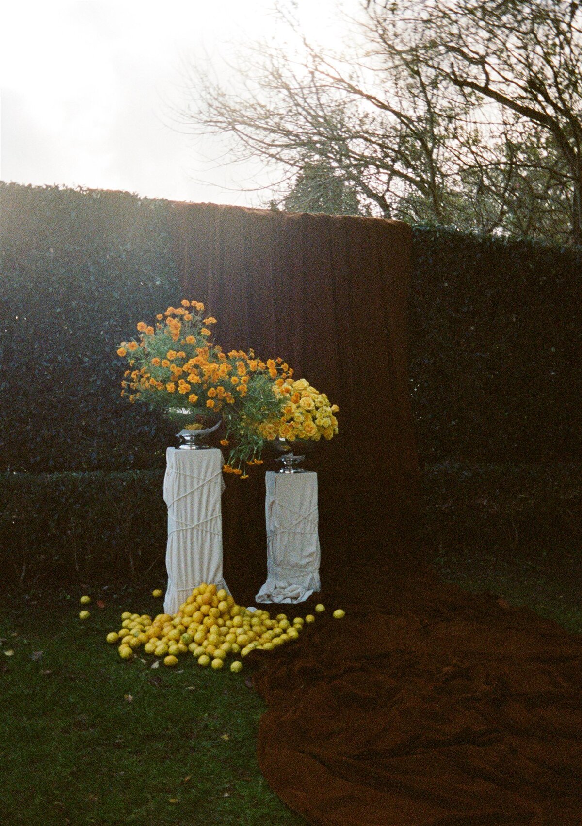 35mm Film KY-40