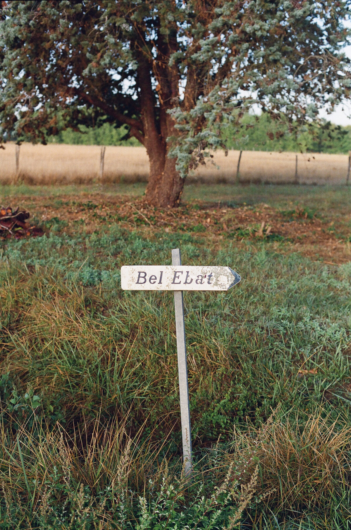 French Welcome Dinner-17