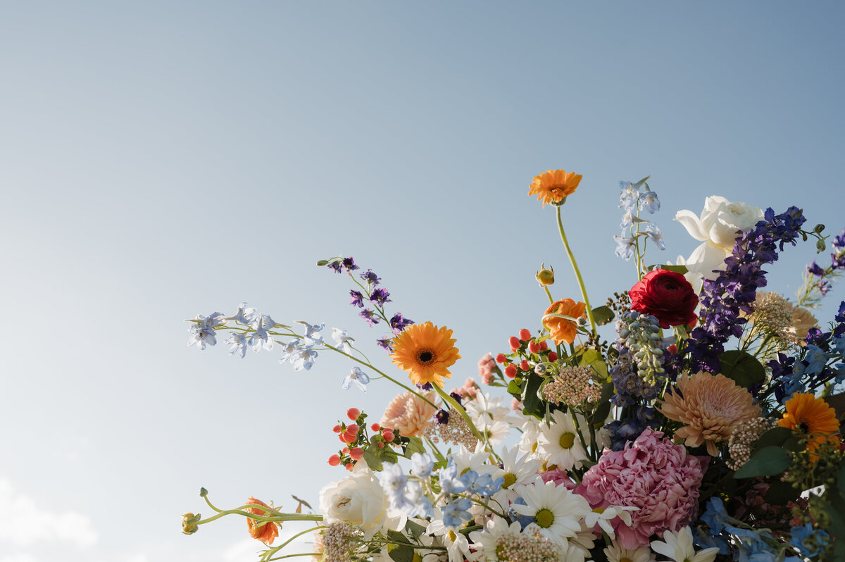 Johnston_Wedding-519
