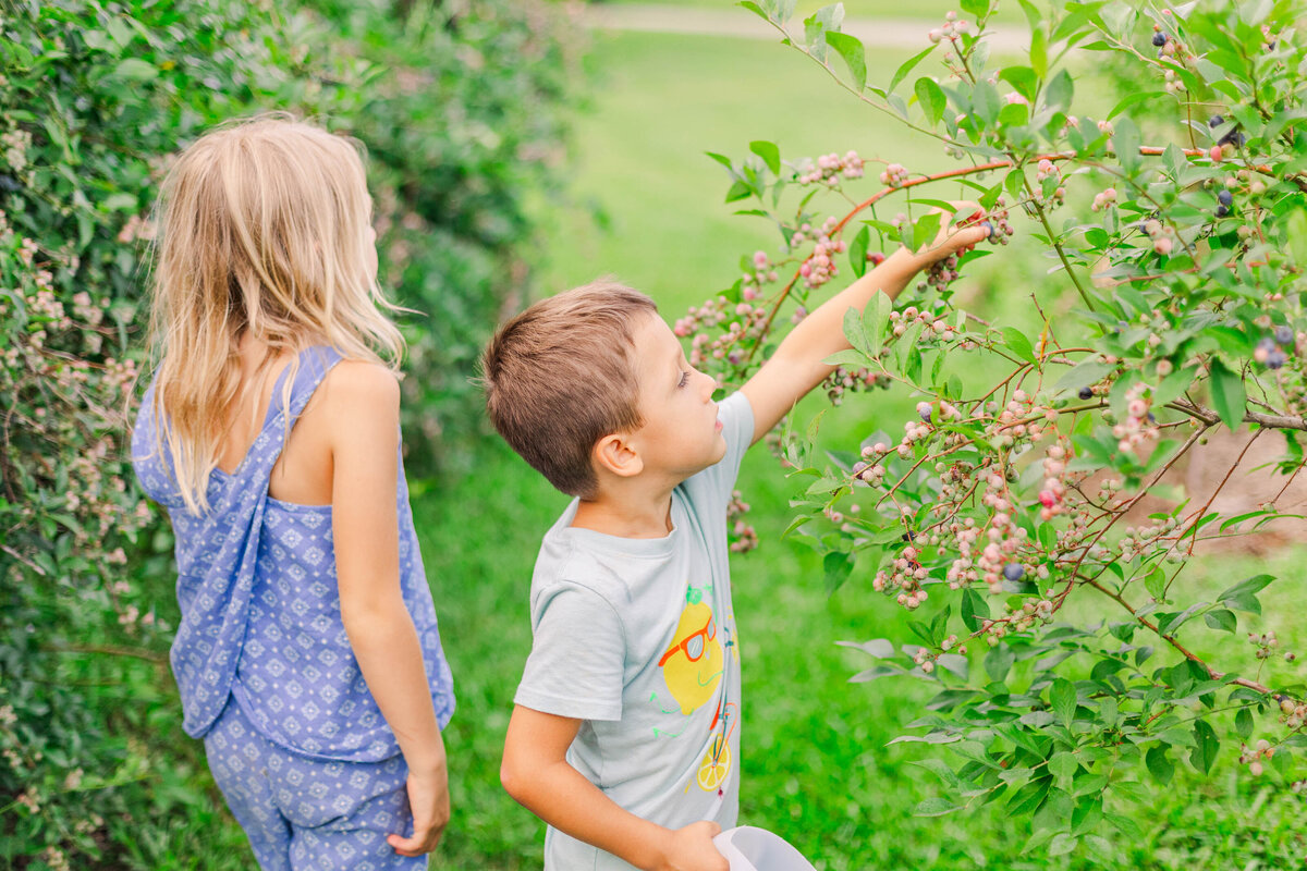 berrypickin-106
