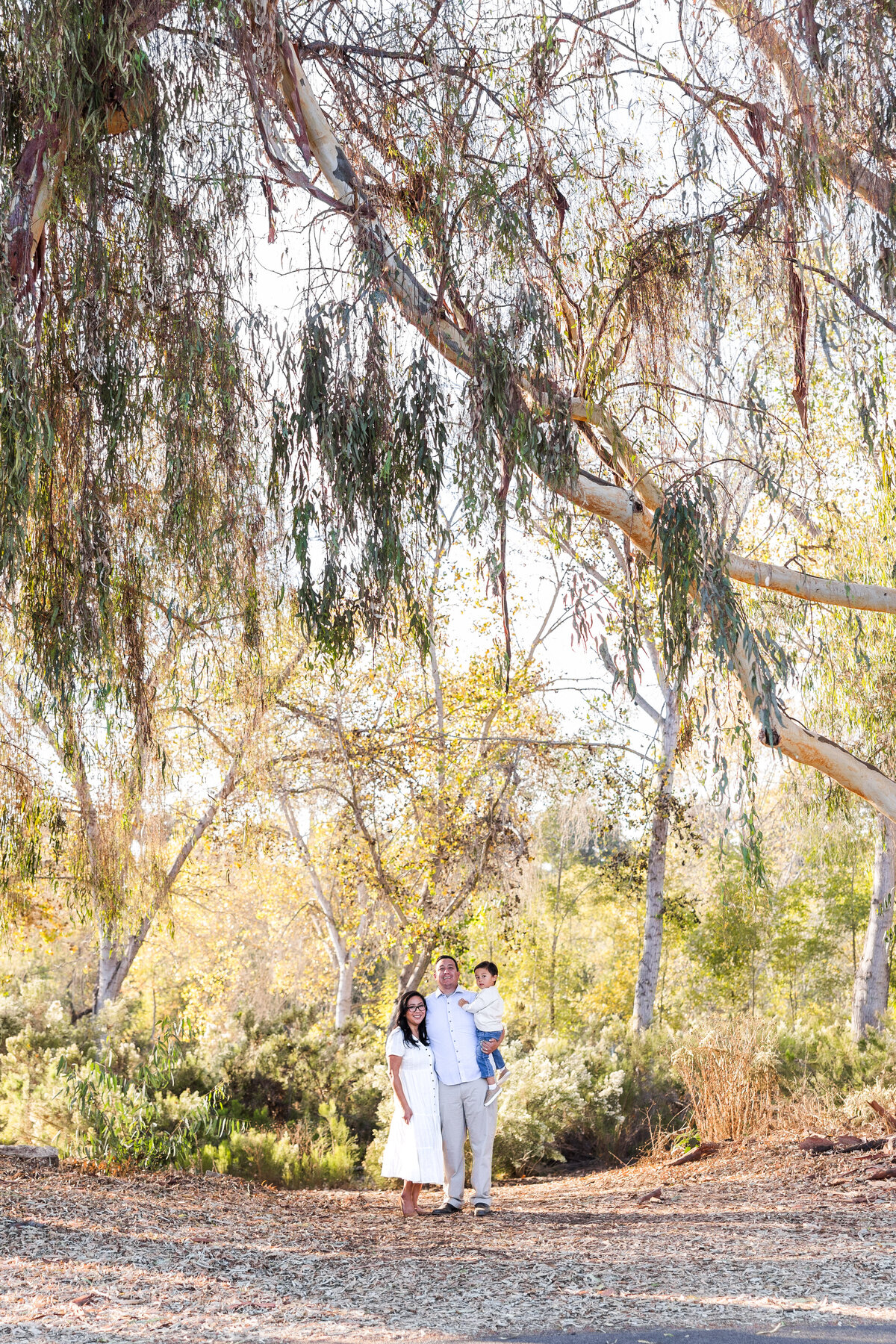 family standing under tree bonita san diego