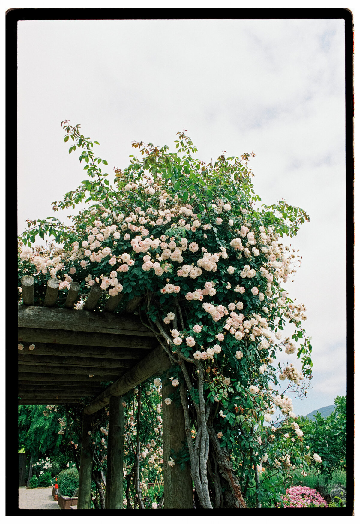 N + S Film-32