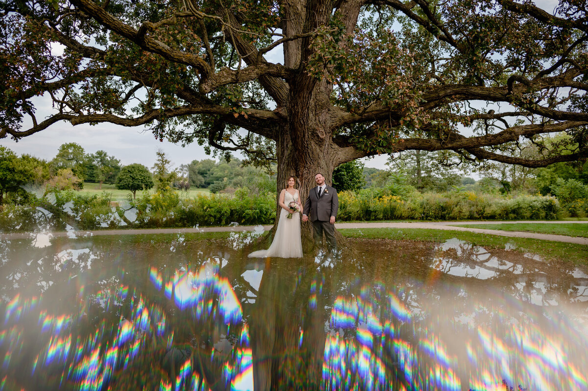 Bride and groom stand in front of a huge oak tree