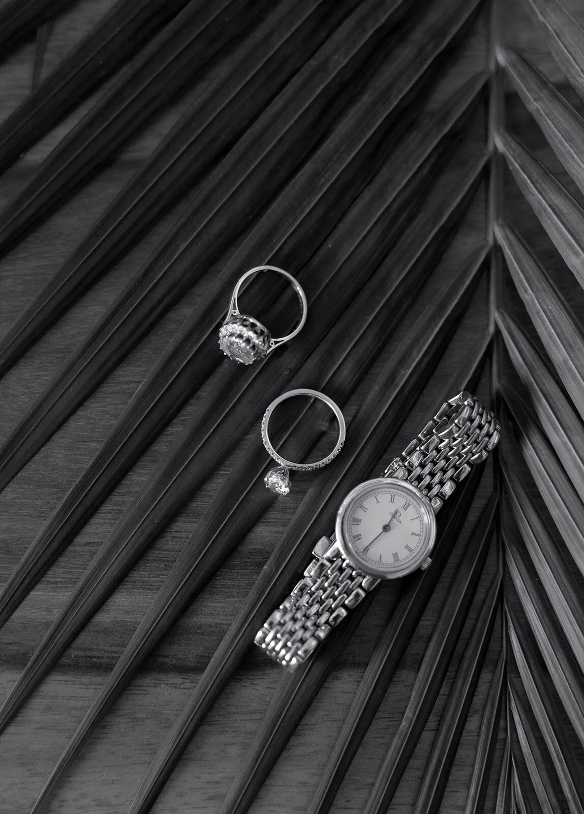 Miami-Wedding-Photographer-Claudia-Amalia-Antonia-James-3