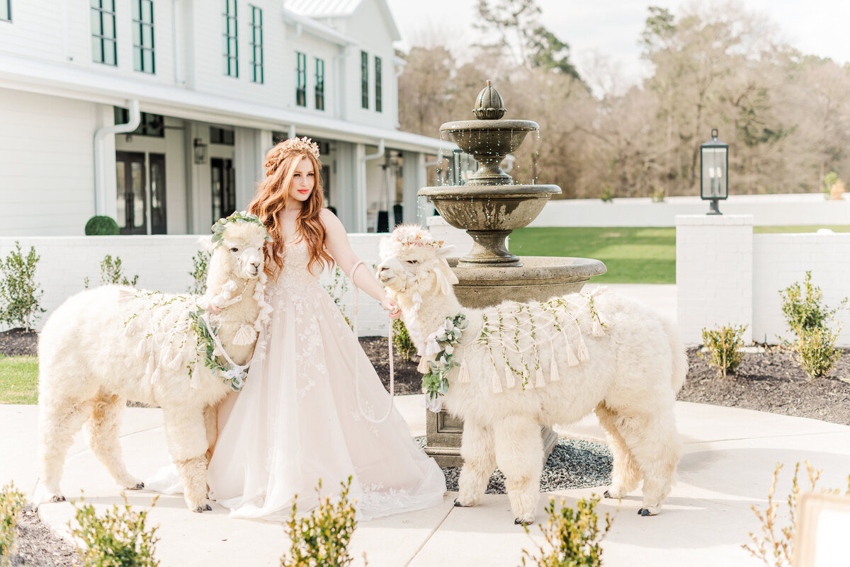 MollieJanePhoto_Boxwood_0193_showit