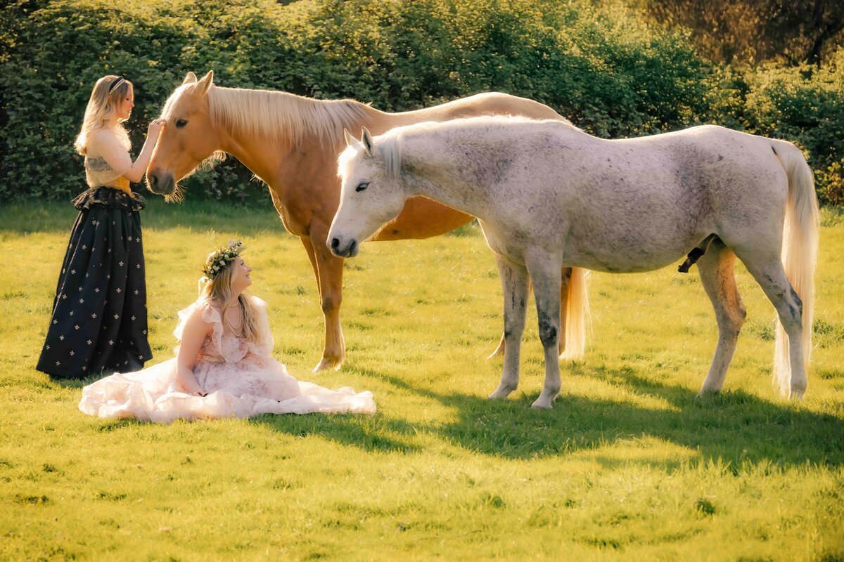 seattle-equine-photogrpaher-3