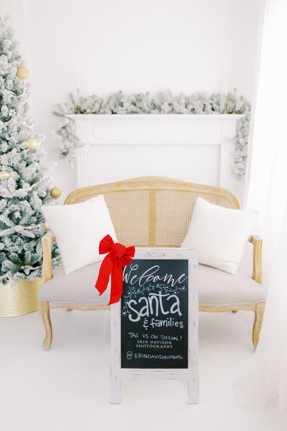 Cleveland Santa Photographer-12