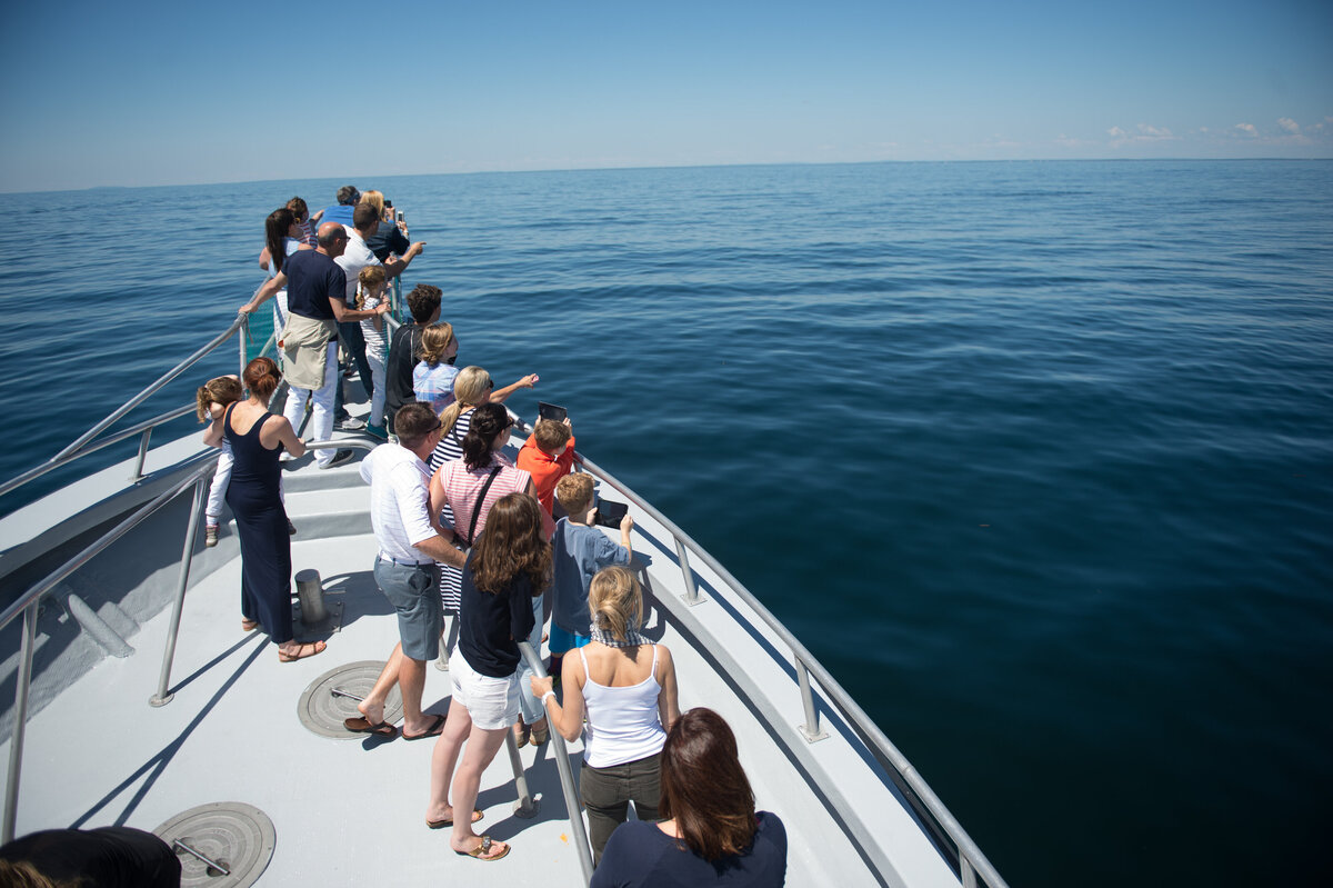 PORTLAND-MAINE-WHALE-WATCH-CARLA-TEN-EYCK--22