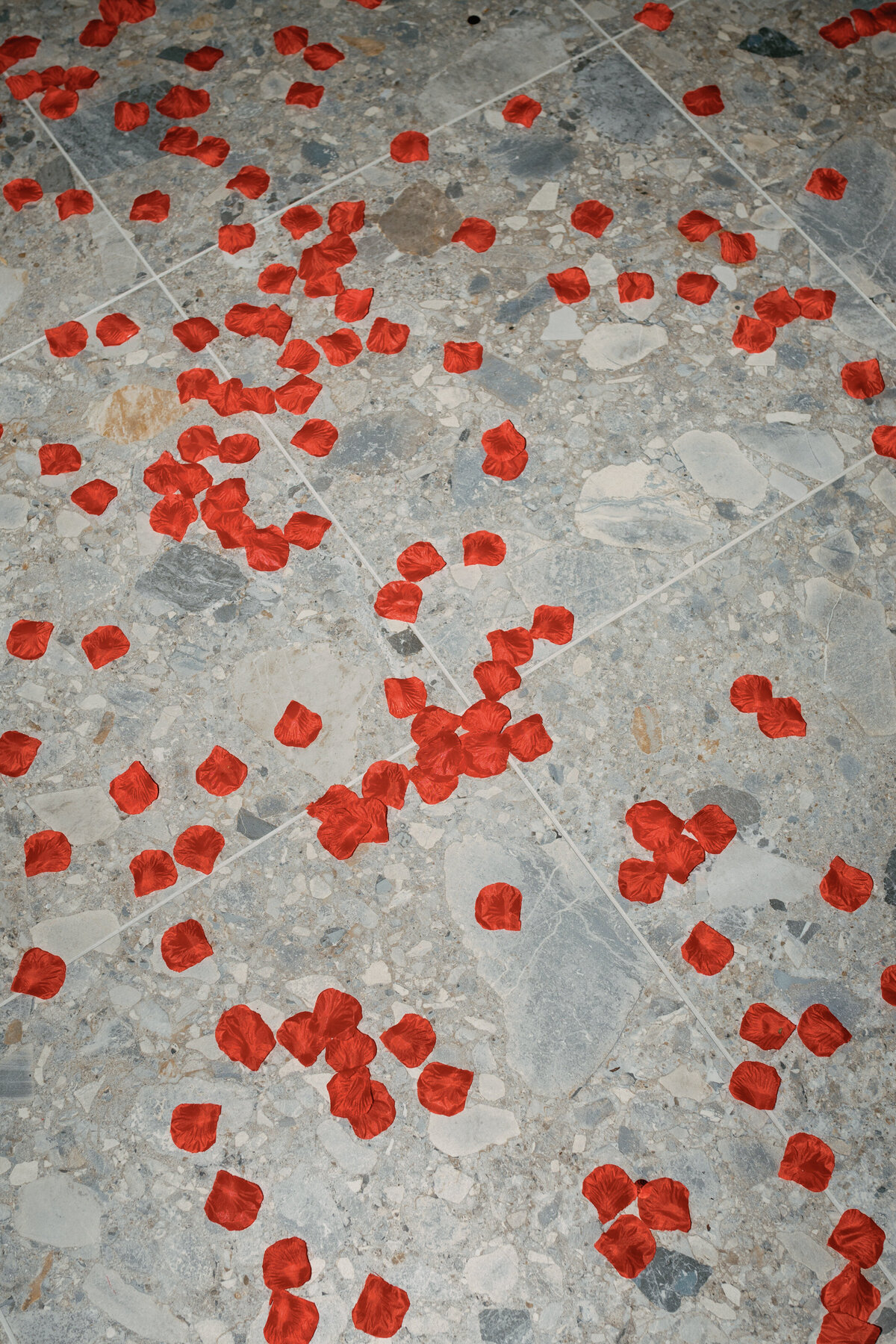 Cam and Ta - Proposal - Downtown Tampa - Alaina René Photography -84
