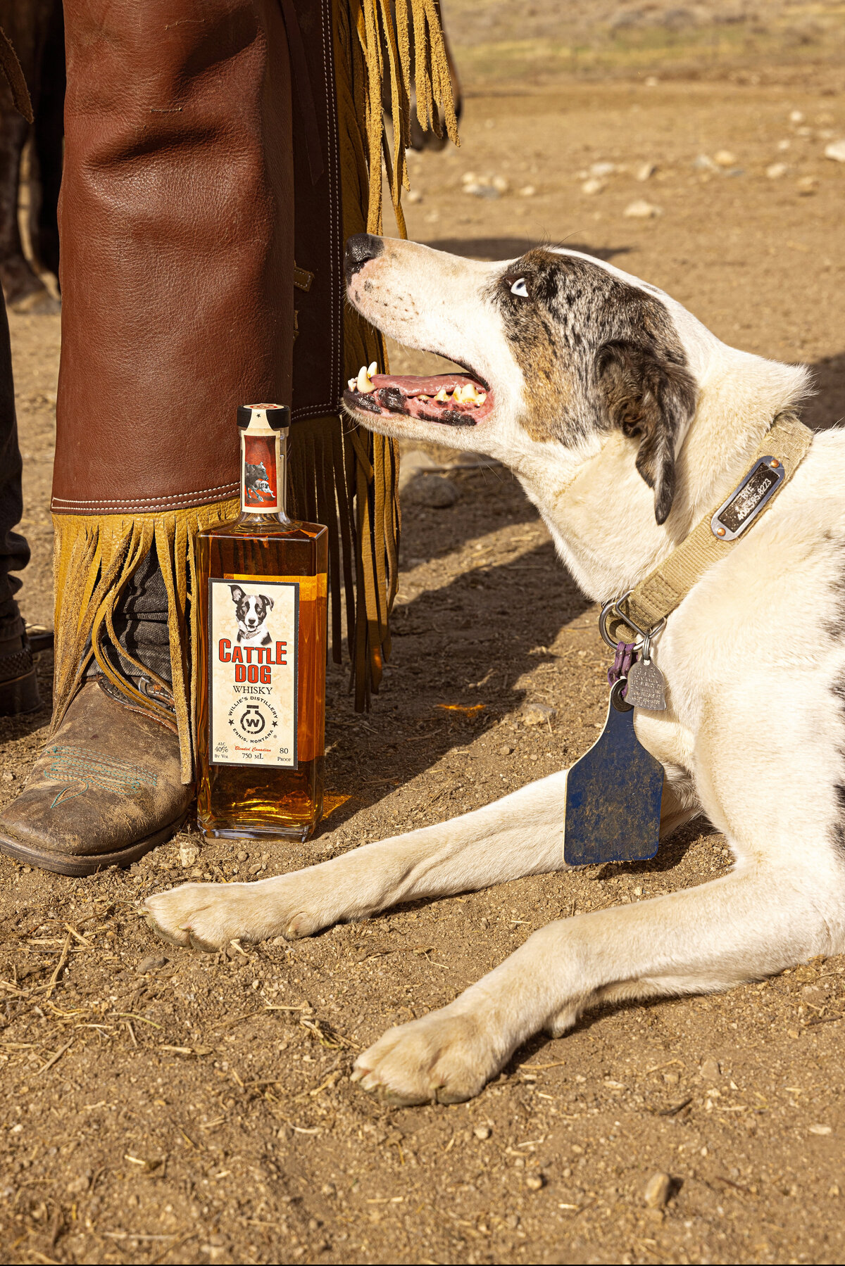 Shanna-Mae-Photography-Montana-Photographer-Business-Brand-Lifestyle-Beverage-Product-Distillery-Whisky-011