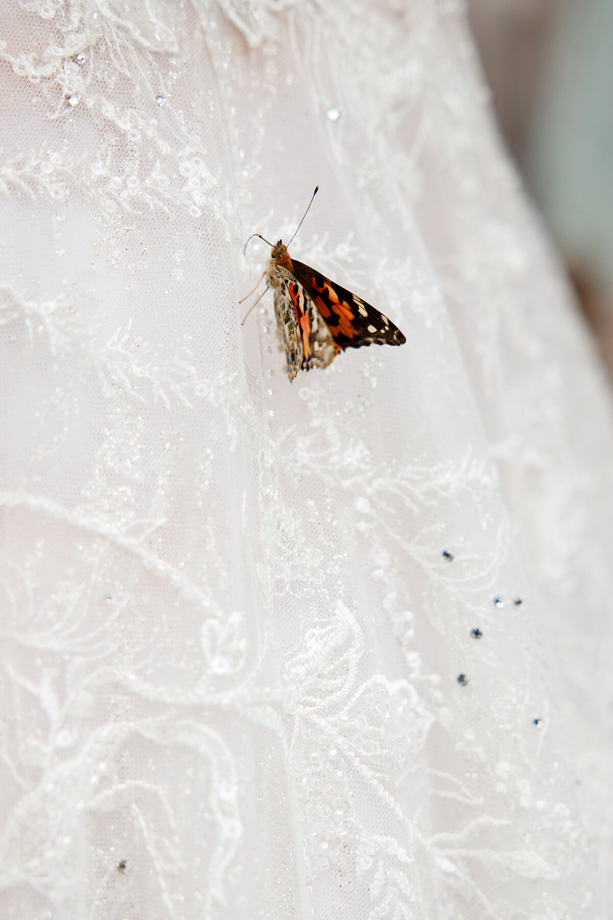 Knotting Hill Wedding Hampton Morrow Photography 0074