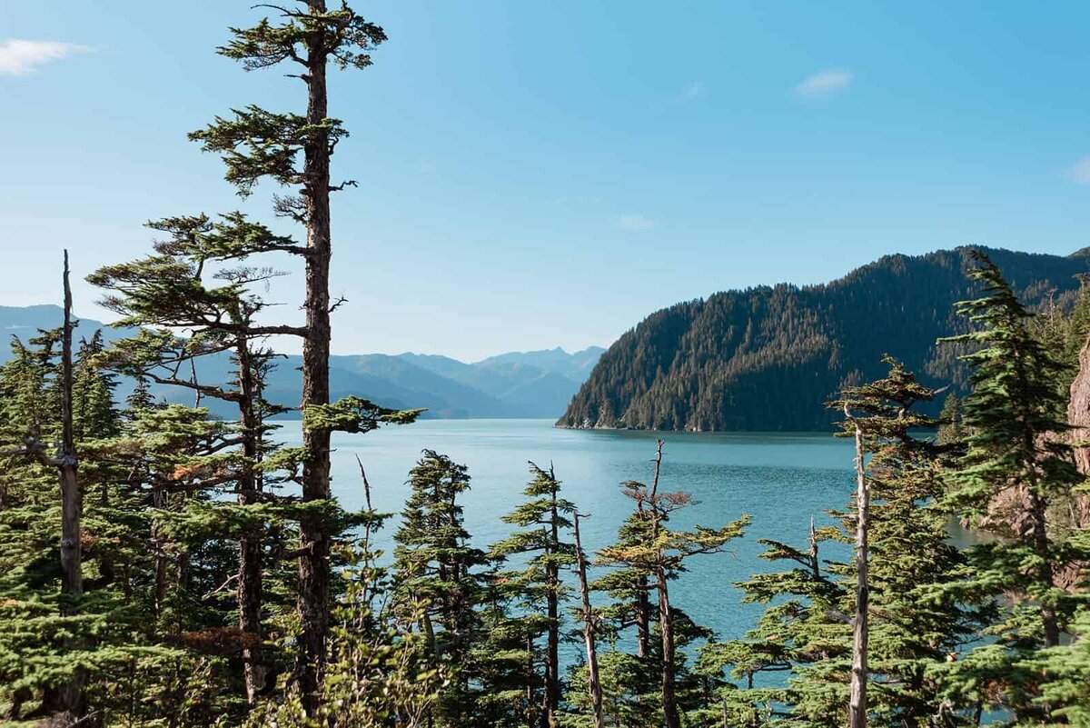 A view from the top of a ridgeline from a glamping yurt during a two day Kenai Fjords Adventure Luxe Elopement.  In the distance is a tree covered rugged Fjord dropping from a peak down into the gleaming water of Resurrection Bay.  The shines in the light and blue skies and lush green trees fill sweeping view. 