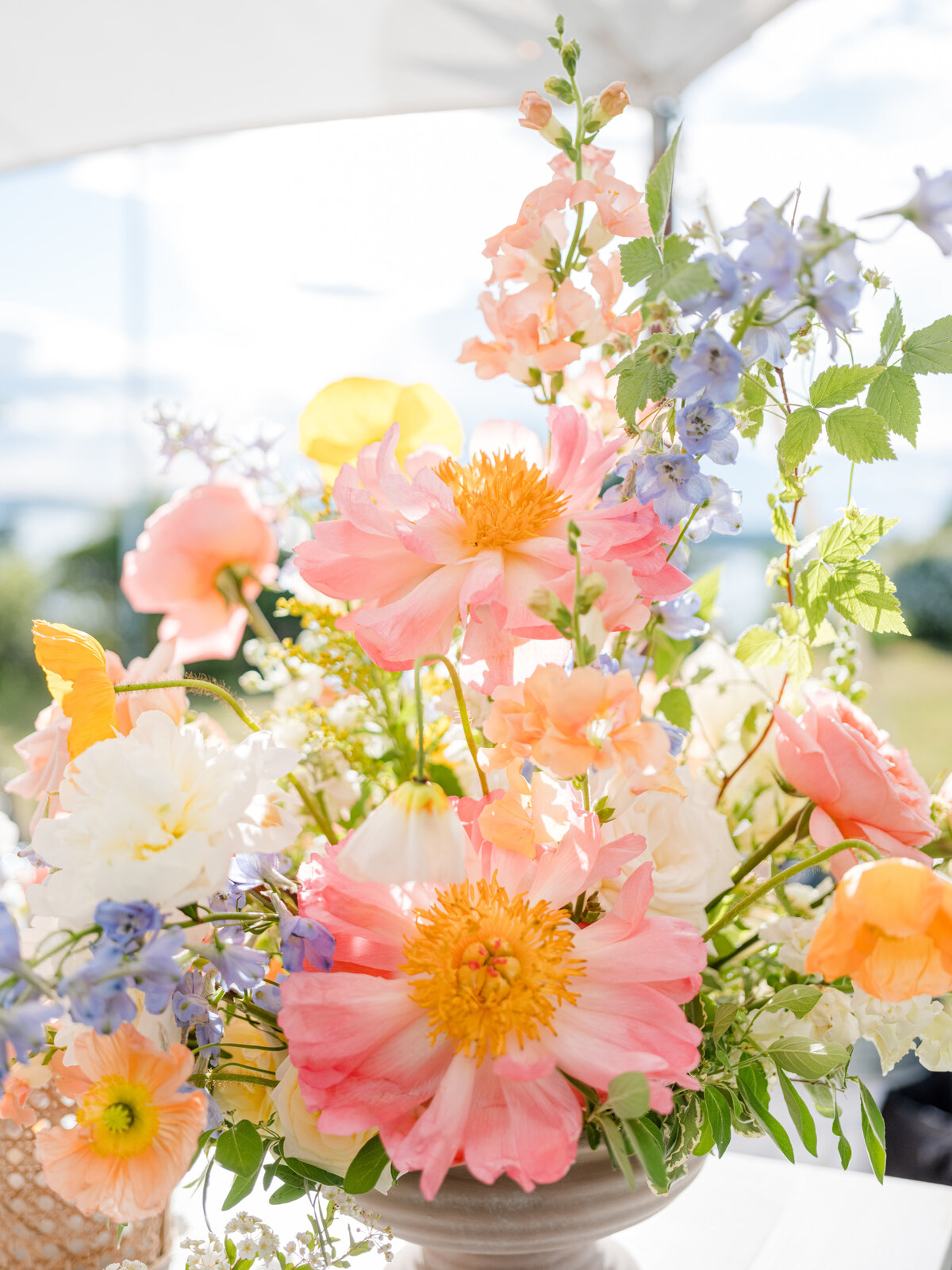 Charlotte_Chris_Chebeague_Highlights-126