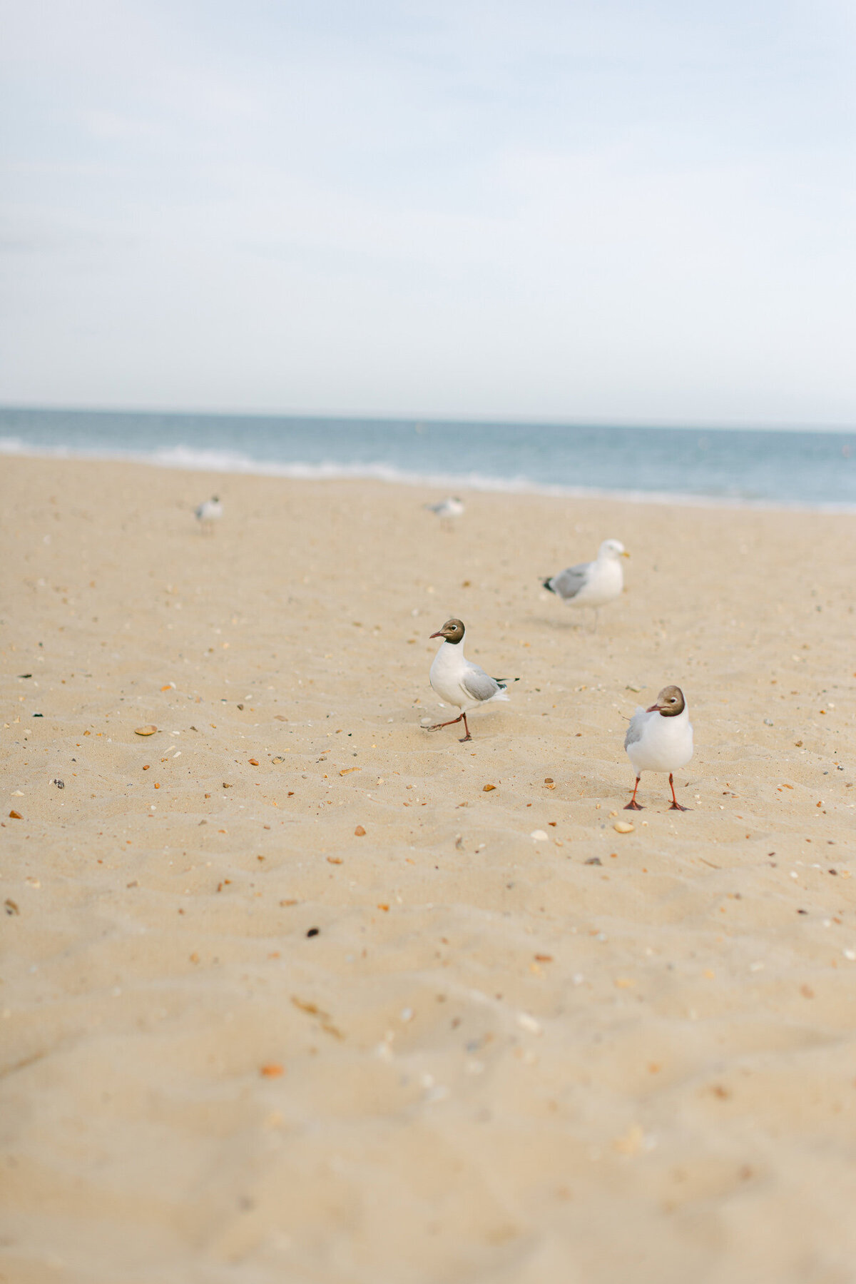 Kayla Stoate Photography Kid-A Team Building Event Documentary Editorial Bournemouth Boscombe Beach _92A3157