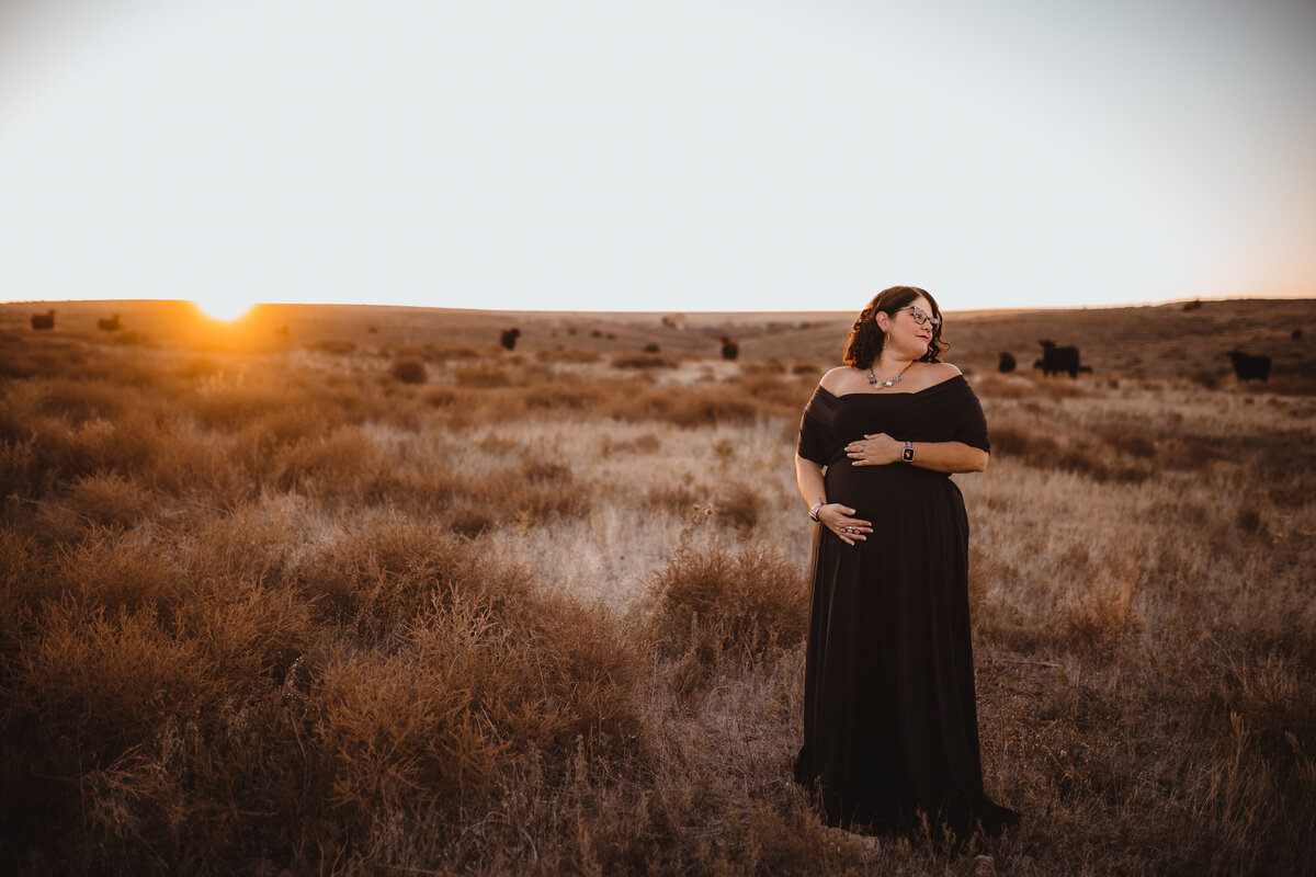 CHASING THE SUN MATERNITY FARMLAND CATTLE RANCH