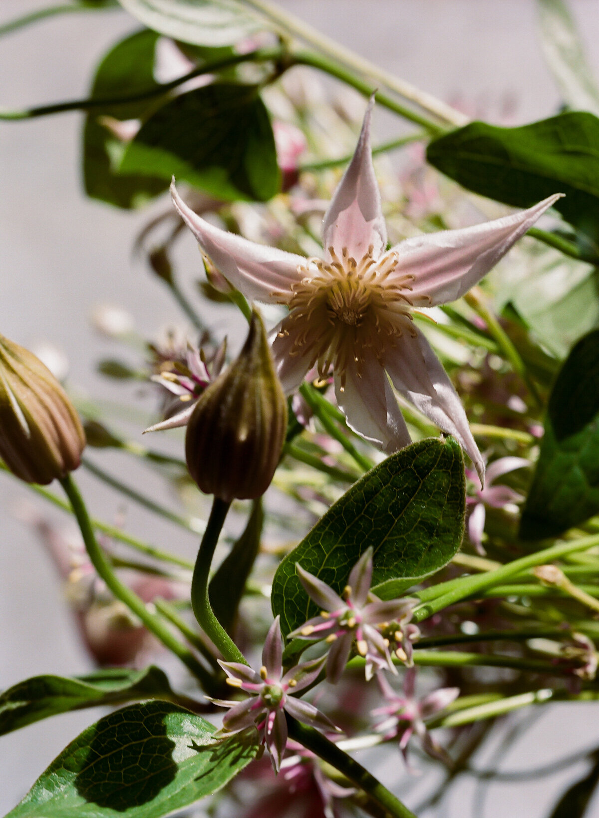 DT-25-siren floral workshop-14