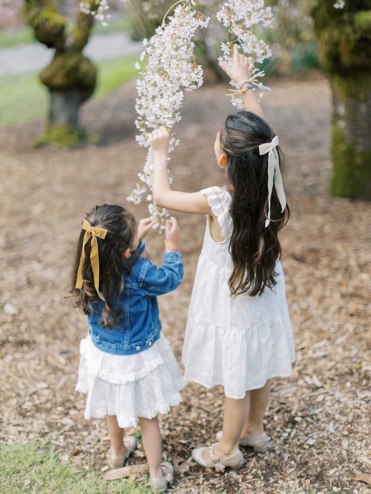 Family-Photos-Shaunae-Teske-9
