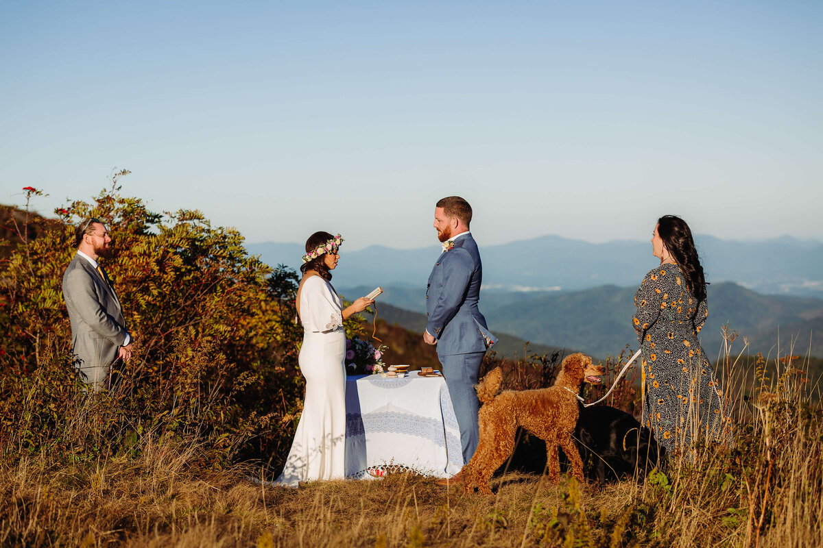 Black-Balsam-NC-Elopement-1