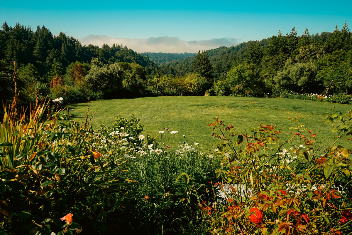 aveline-summer-photos-16