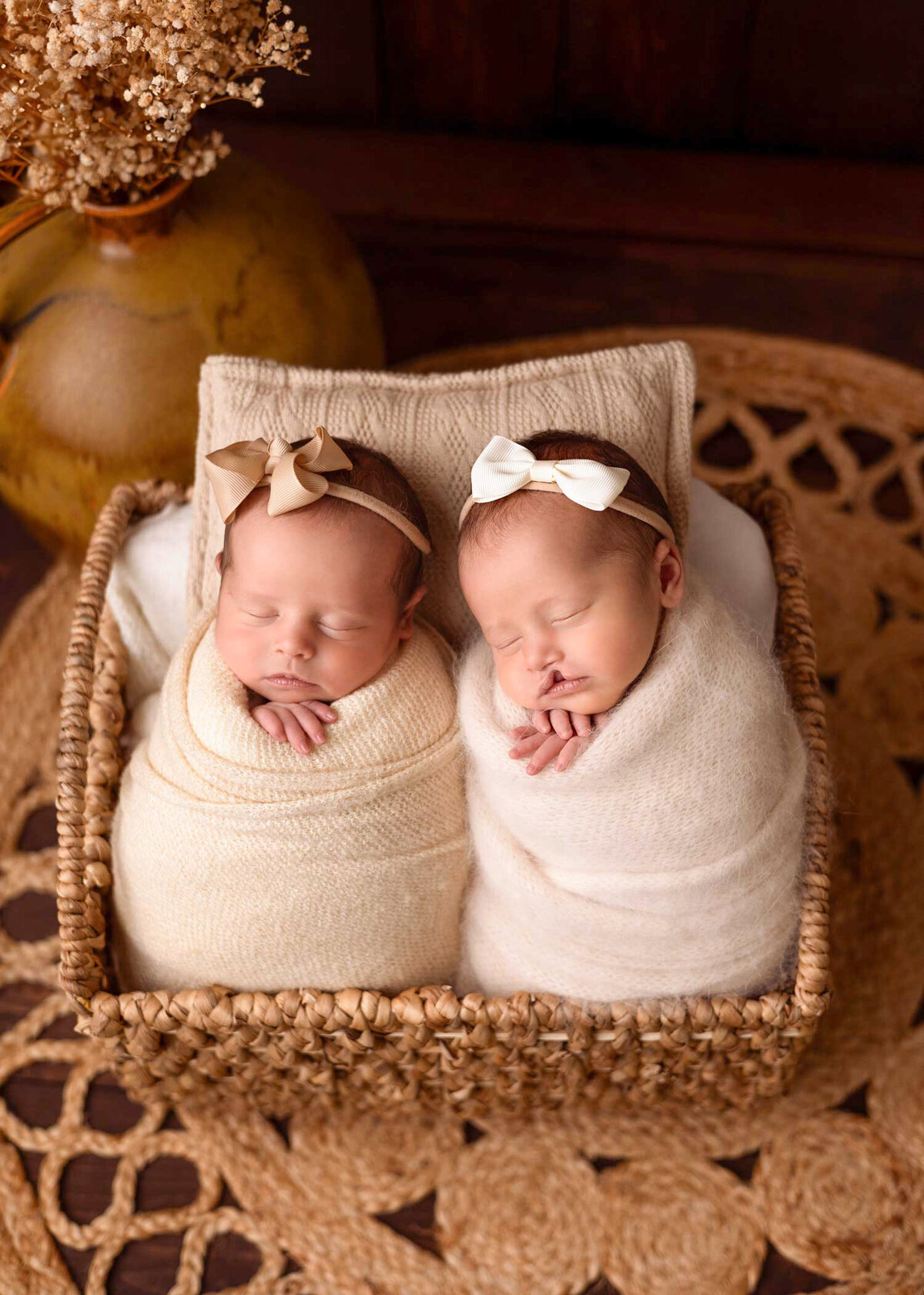 twins-newborn-session-edmonton