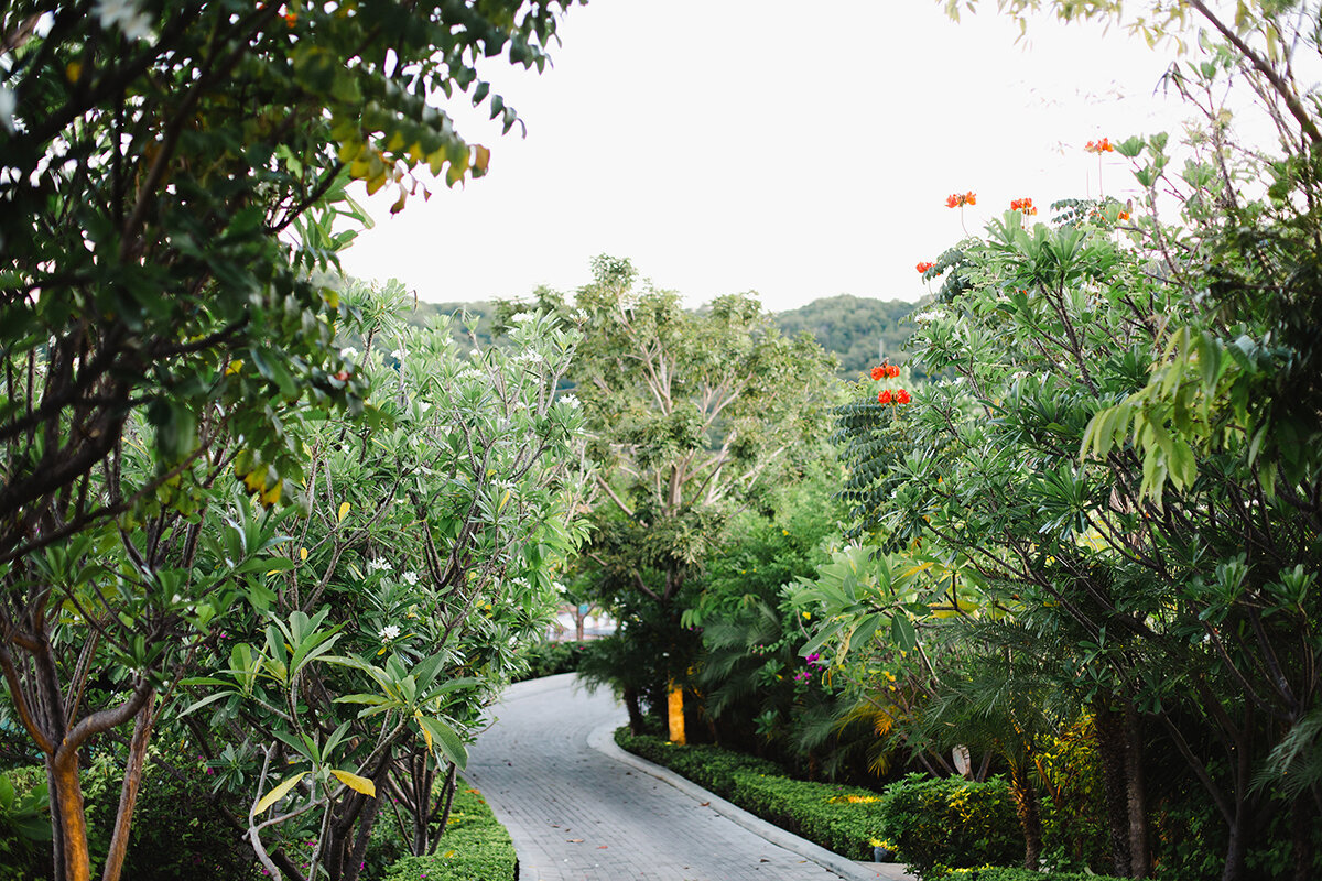 Michelle Norwood Living - Luxury Travel Inspiration - Costa Rica - MCC-5619
