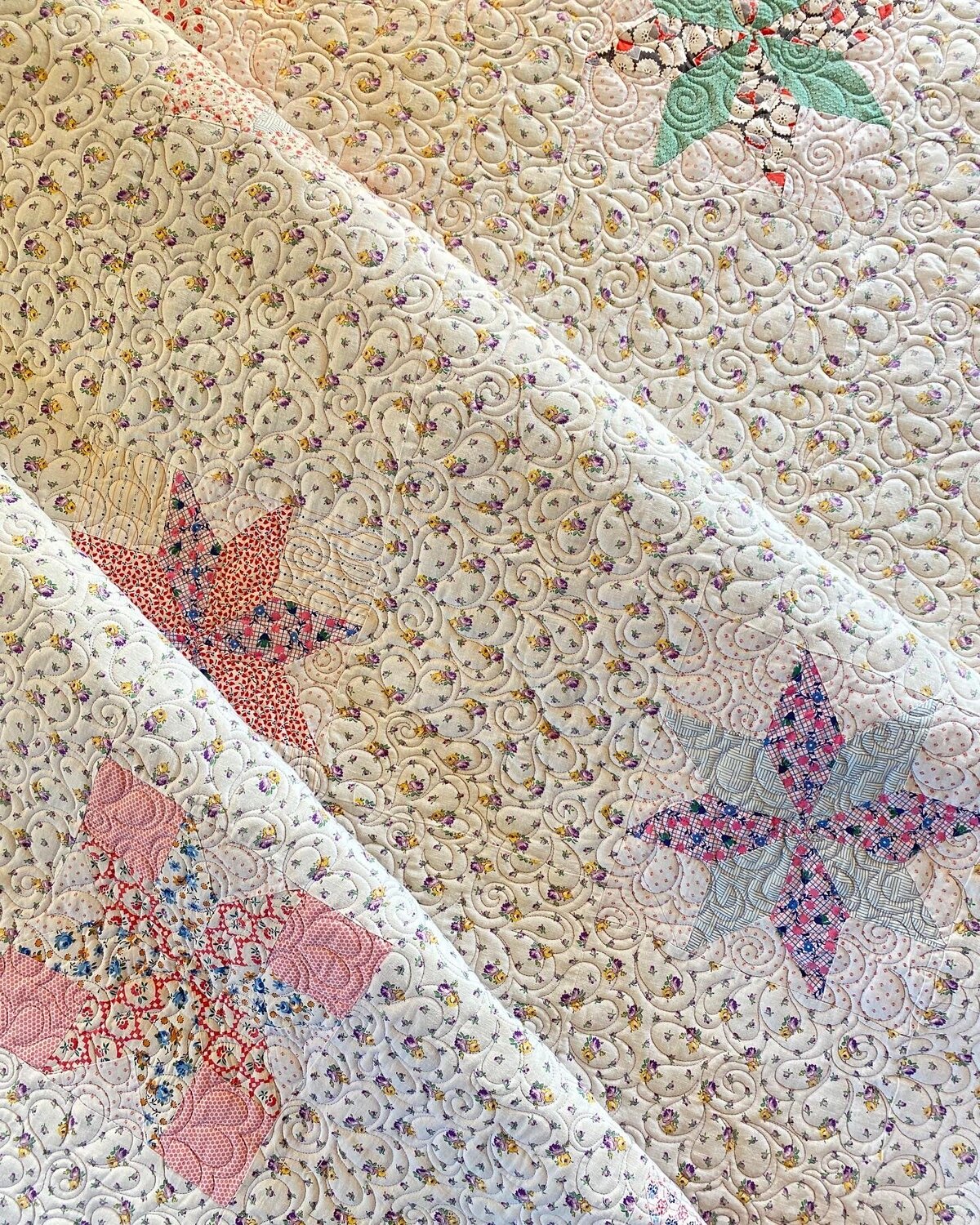 star quilt with the hibiscus quilting design