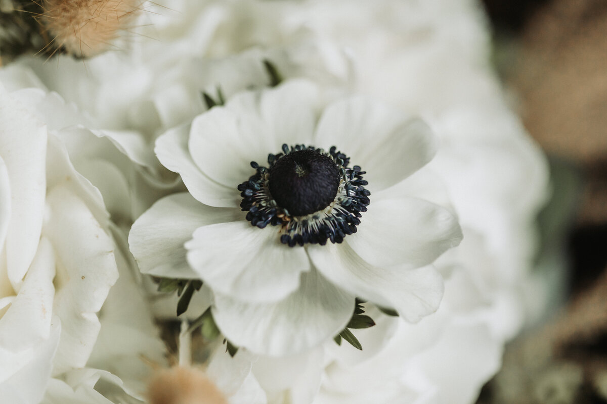 Details (41 of 123)