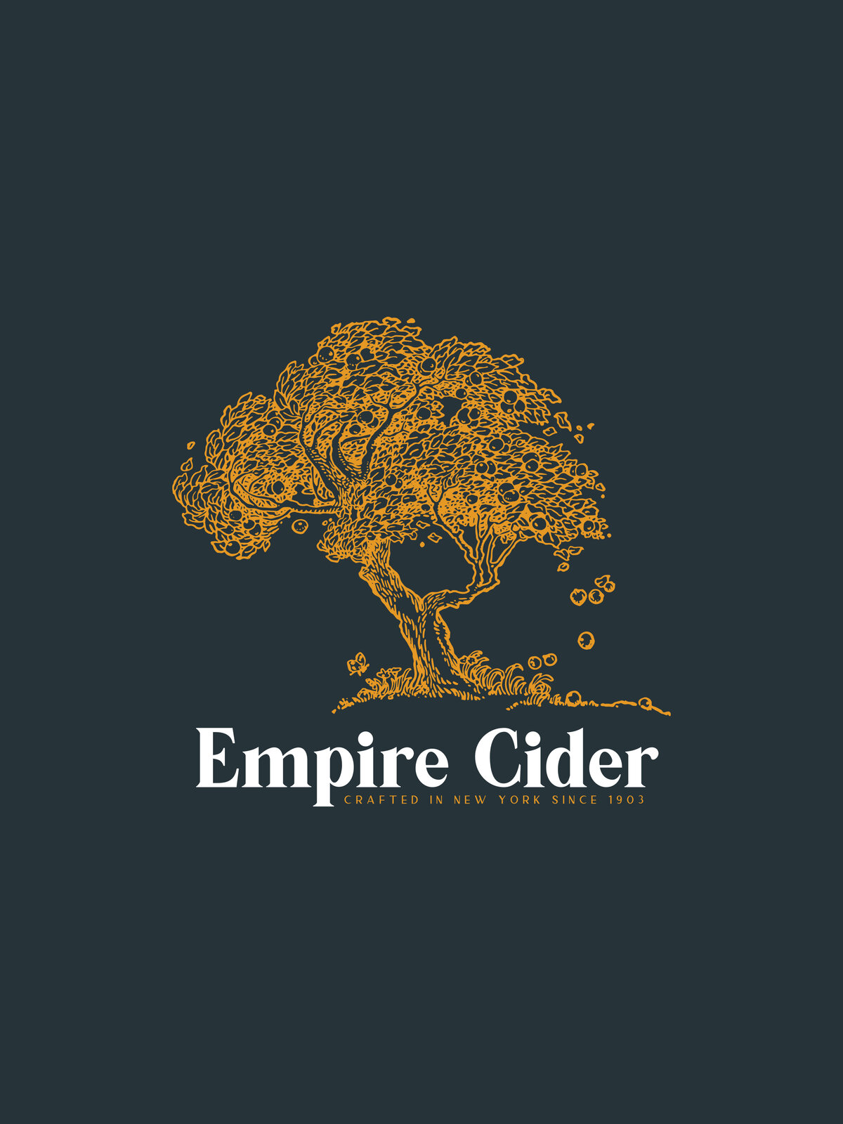 Brand Identity & Packing for Empire Cider | Brand Identity Service, Creative Studio, The Flat Iron Foundry