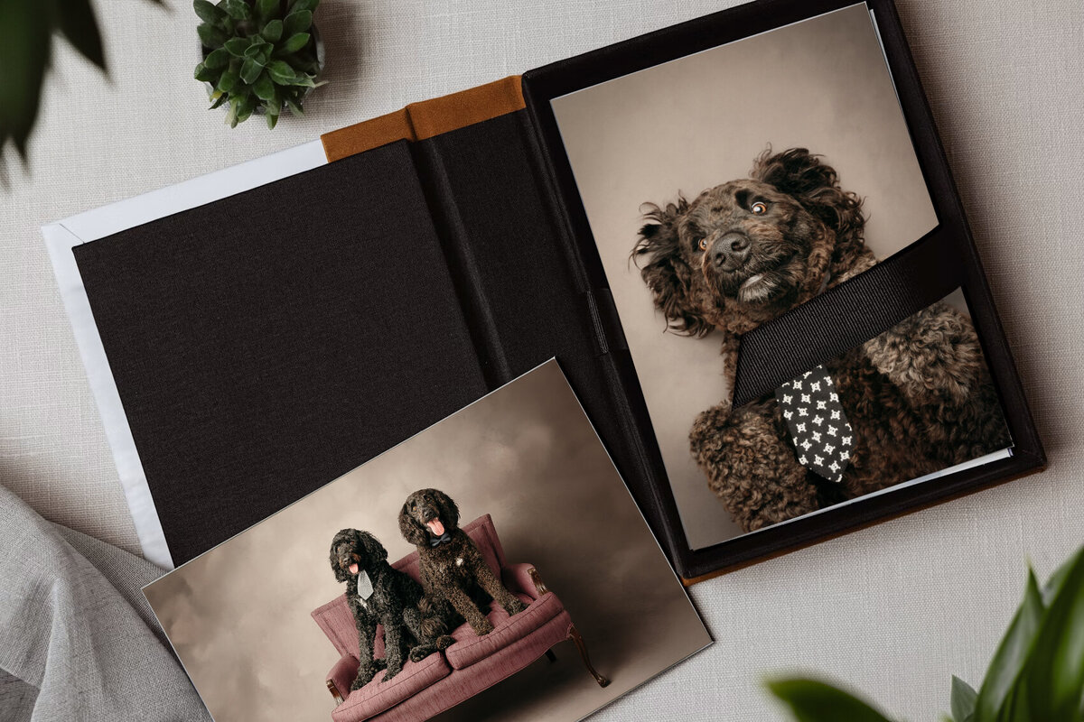 grey-bruce-owen-sound-photographer-full-service-artwork-6