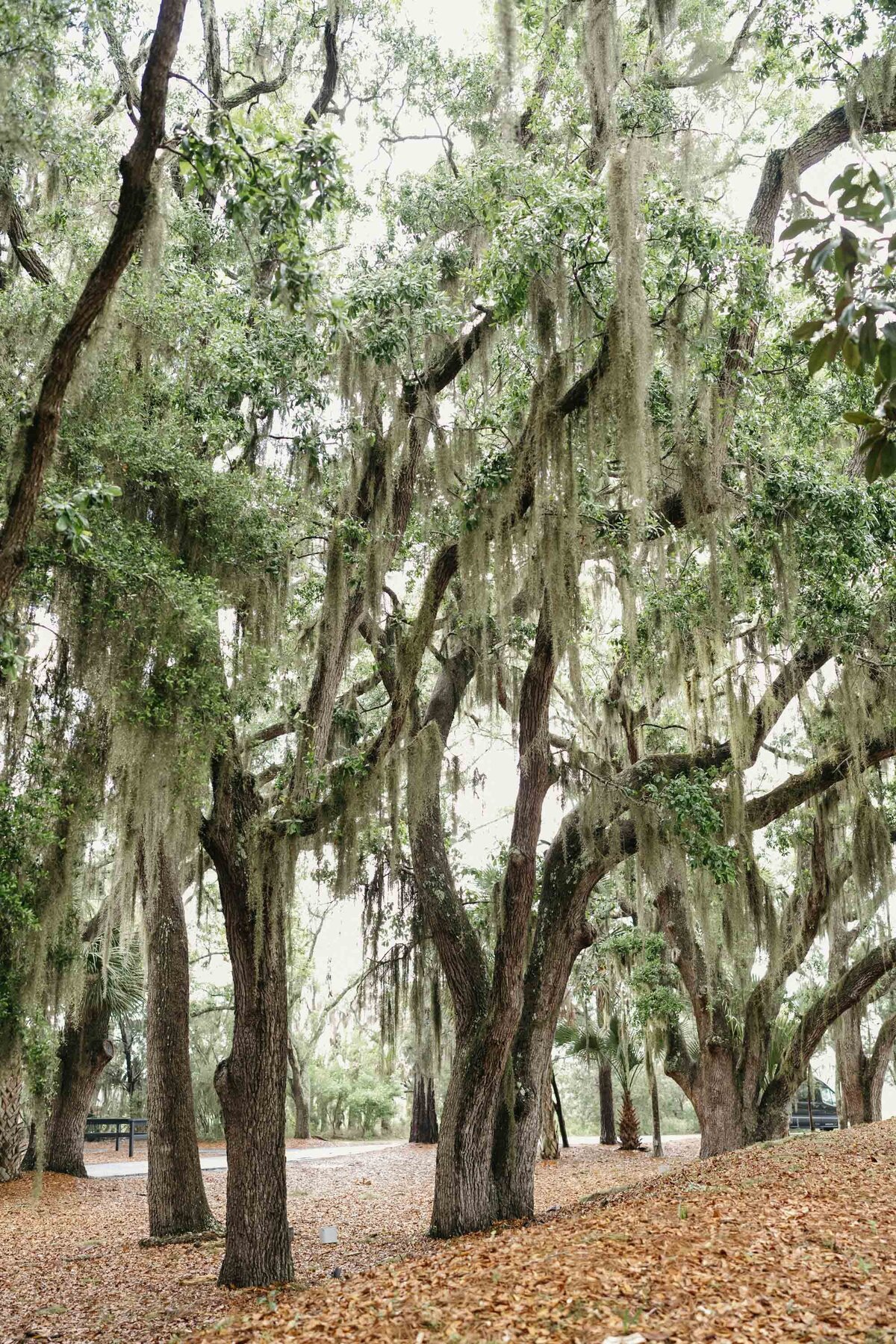 027-matthewrobbinsdesign-robbinsotoya-kiawahisland-rehearsaldinner-adrianariveraphotography-51426
