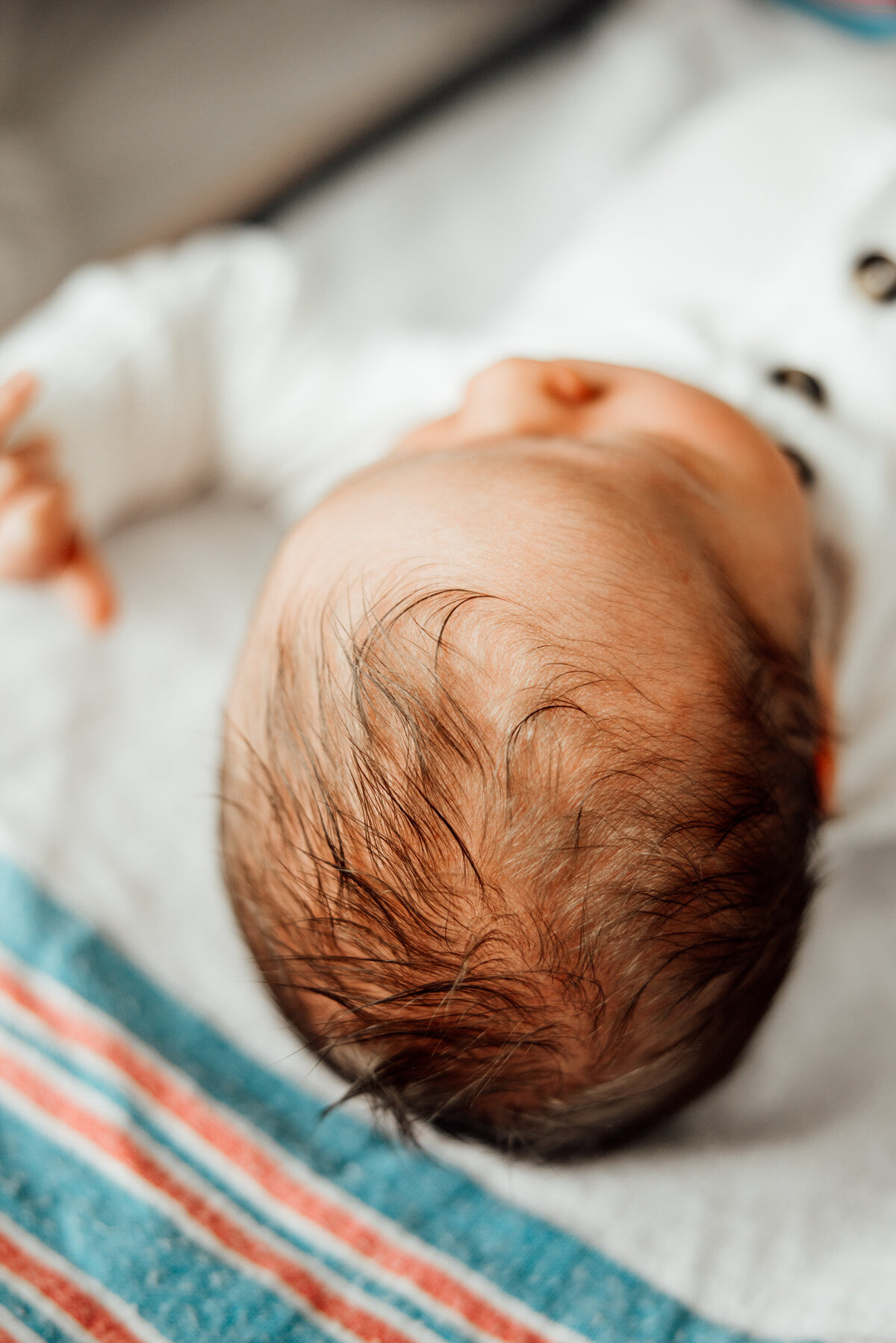 fresh 48 baby photography huntsville