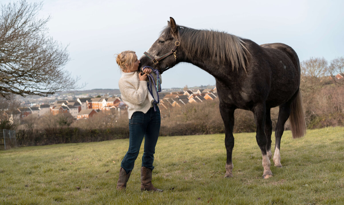 horses-photographer-isle-of-wight