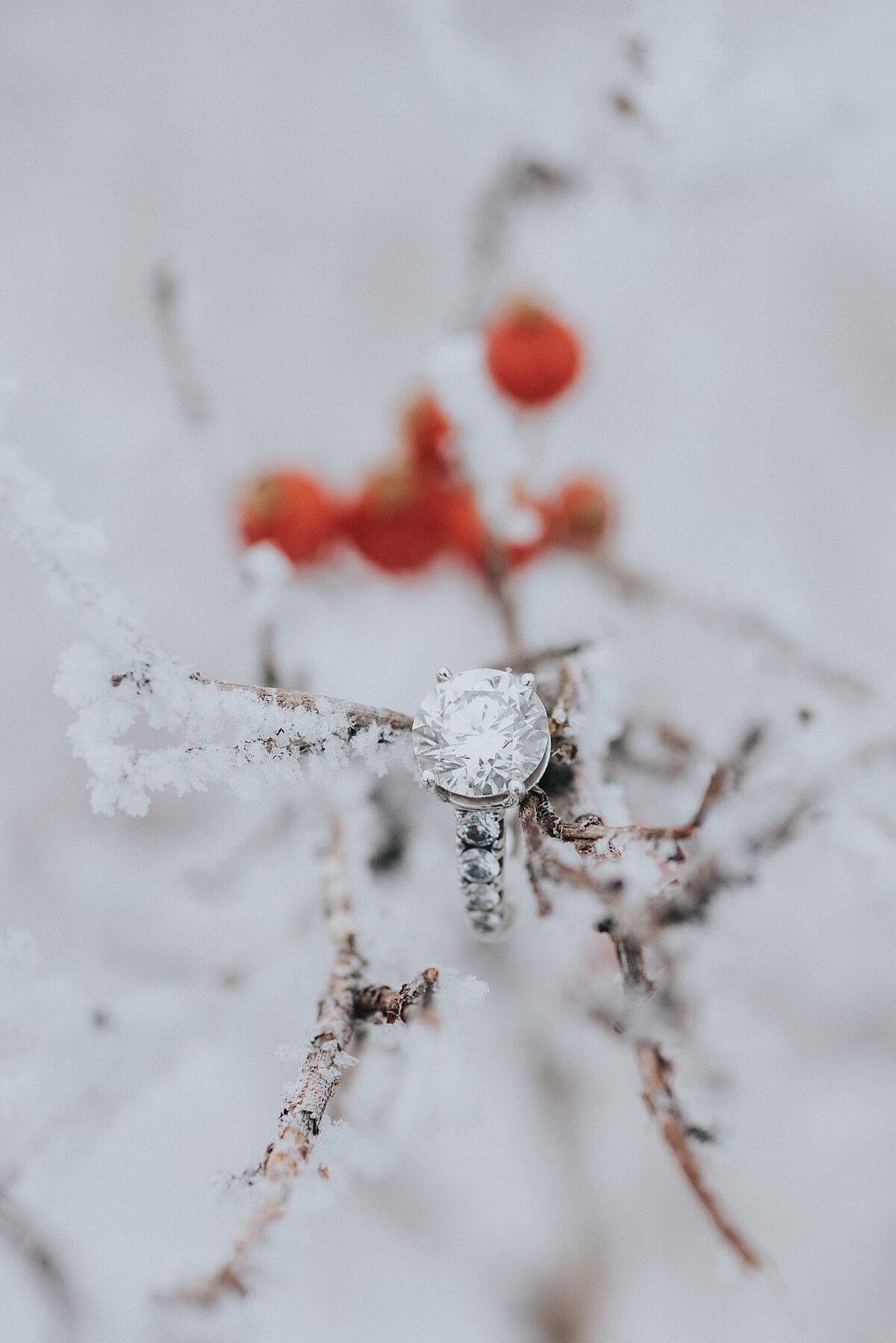 JHengagements-6