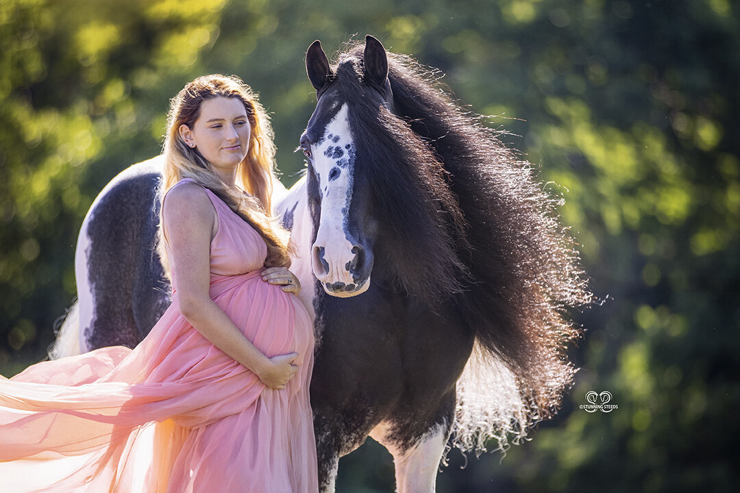 0AA0I0869©StunningSteedsPhoto-LR