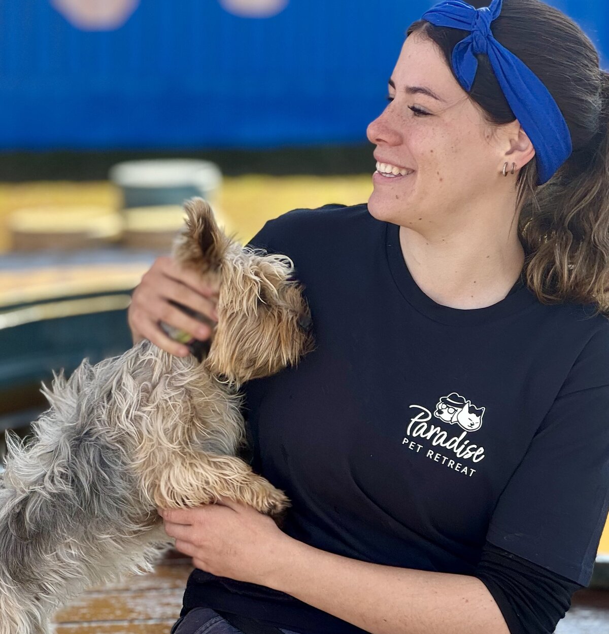 Doggy Daycare Toowoomba