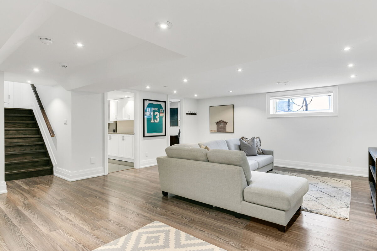 62-web-or-mls-60_001_Lower Level
