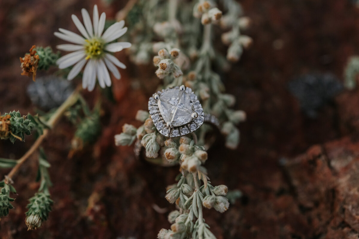 Ranch-Pasture-Country-Alberta-Engagement-50