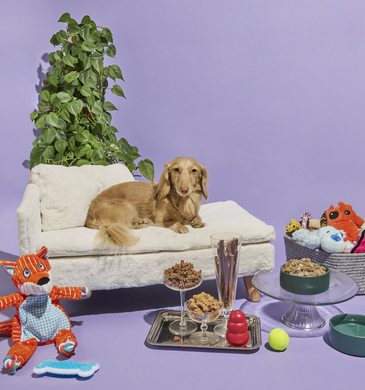 los-angeles-product-photographer-pet-photography-pet-food-pet-supplies-lindsay-kreighbaum-3